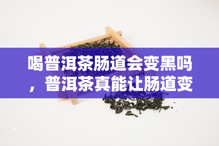 喝普洱茶肠道会变黑吗，普洱茶真能让肠道变黑？揭开这个说法的真相