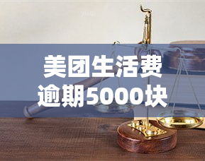 美团生活费逾期5000块钱结果会怎样，警惕！美团生活费逾期5000元的后果严重性