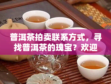 普洱茶拍卖联系方式，寻找普洱茶的瑰宝？欢迎联系我们的拍卖部门！