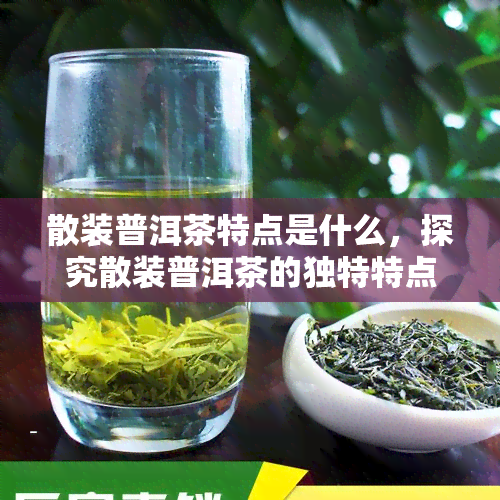 散装普洱茶特点是什么，探究散装普洱茶的独特特点