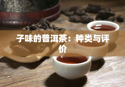 子味的普洱茶：种类与评价