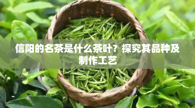 信阳的名茶是什么茶叶？探究其品种及制作工艺