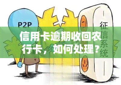 信用卡逾期收回农行卡，如何处理？