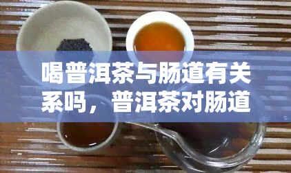 喝普洱茶与肠道有关系吗，普洱茶对肠道健的影响：你该知道的事实