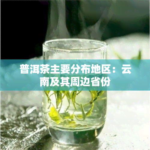 普洱茶主要分布地区：云南及其周边省份