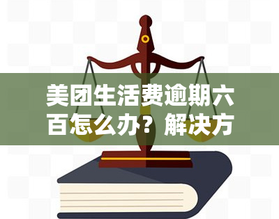 美团生活费逾期六百怎么办？解决方案及处理步骤全攻略