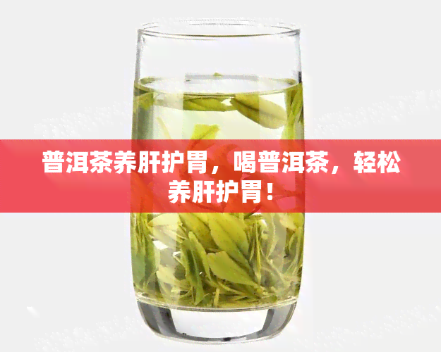 普洱茶养肝护胃，喝普洱茶，轻松养肝护胃！