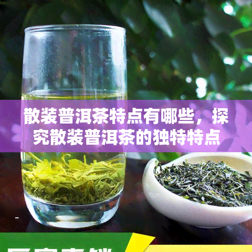 散装普洱茶特点有哪些，探究散装普洱茶的独特特点与魅力