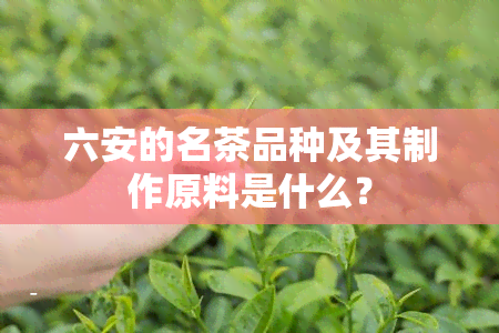 六安的名茶品种及其制作原料是什么？