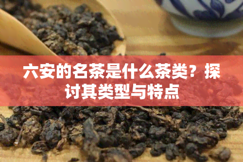 六安的名茶是什么茶类？探讨其类型与特点