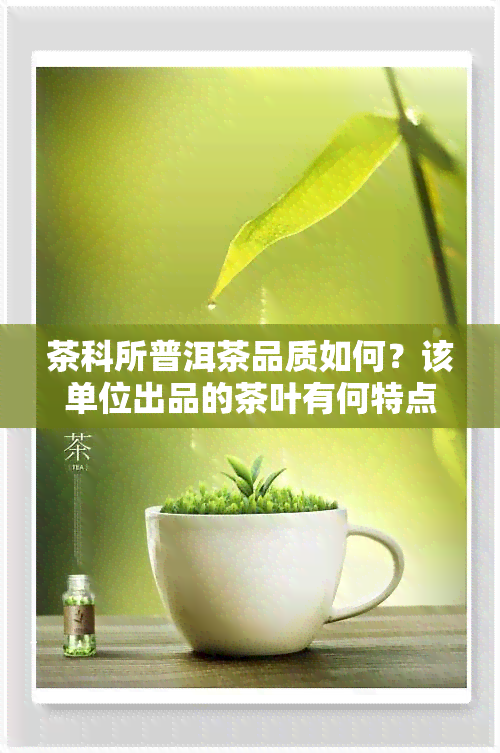 茶科所普洱茶品质如何？该单位出品的茶叶有何特点？