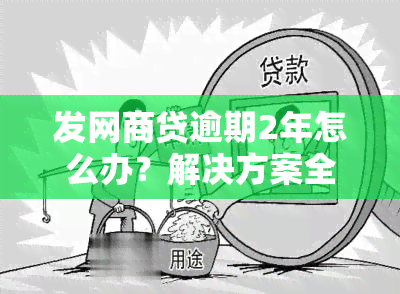 发网商贷逾期2年怎么办？解决方案全解析