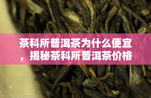 茶科所普洱茶为什么便宜，揭秘茶科所普洱茶价格亲民的原因