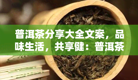 普洱茶分享大全文案，品味生活，共享健：普洱茶的分享与文化