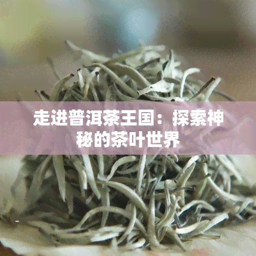 走进普洱茶王国：探索神秘的茶叶世界