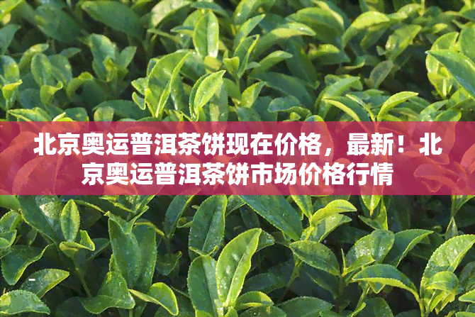 北京奥运普洱茶饼现在价格，最新！北京奥运普洱茶饼市场价格行情