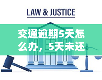 交通逾期5天怎么办，5天未还交通罚单，该如何处理？