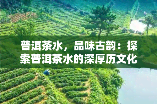 普洱茶水，品味古韵：探索普洱茶水的深厚历文化与独特口感