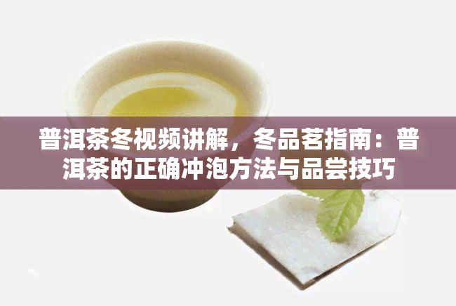 普洱茶冬视频讲解，冬品茗指南：普洱茶的正确冲泡方法与品尝技巧