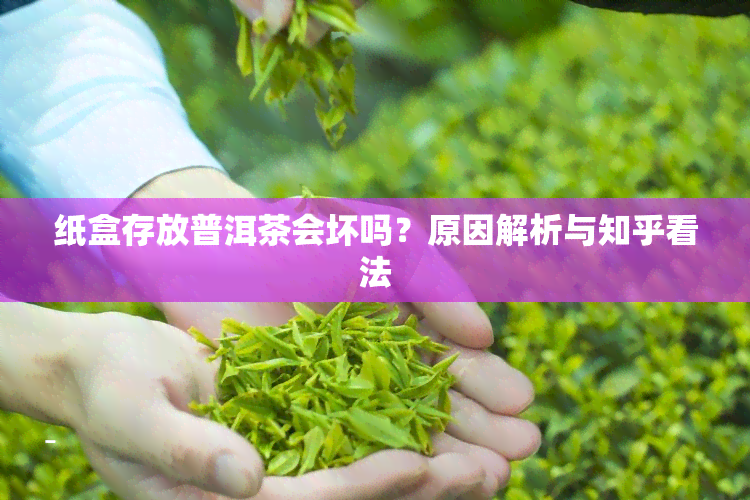 纸盒存放普洱茶会坏吗？原因解析与知乎看法