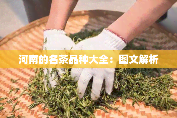 河南的名茶品种大全：图文解析