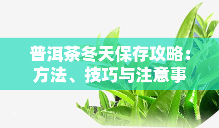 普洱茶冬天保存攻略：方法、技巧与注意事全解析