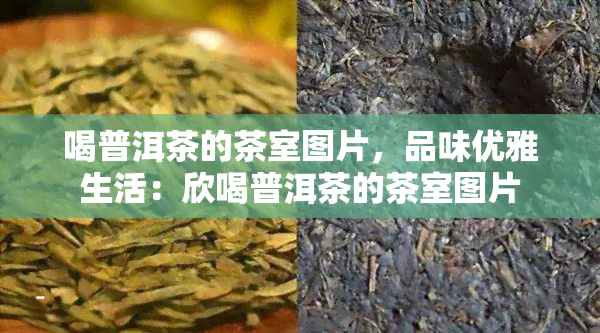 喝普洱茶的茶室图片，品味优雅生活：欣喝普洱茶的茶室图片