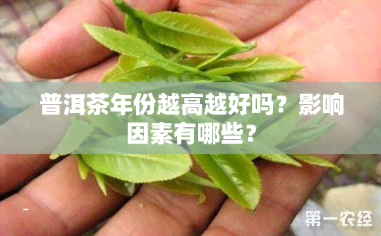 普洱茶年份越高越好吗？影响因素有哪些？