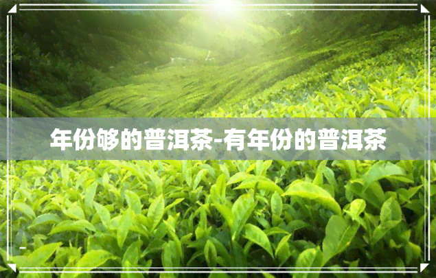 年份够的普洱茶-有年份的普洱茶