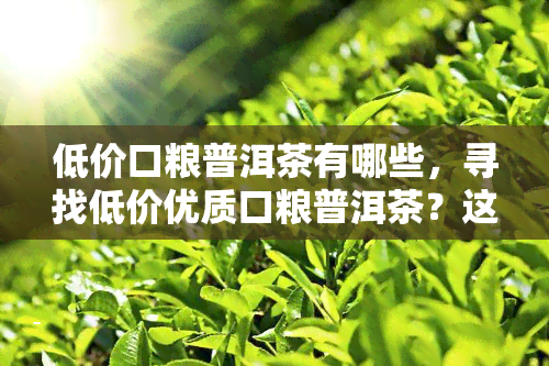 低价口粮普洱茶有哪些，寻找低价优质口粮普洱茶？这份清单不容错过！