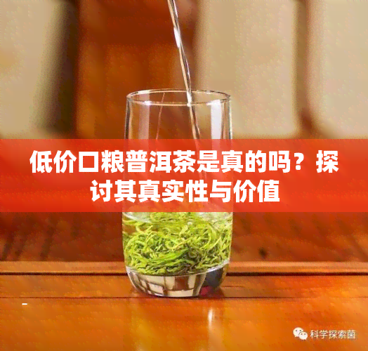 低价口粮普洱茶是真的吗？探讨其真实性与价值