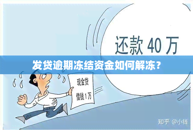 发贷逾期冻结资金如何解冻？