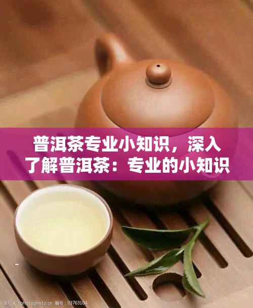 普洱茶专业小知识，深入了解普洱茶：专业的小知识解析