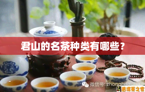 君山的名茶种类有哪些？