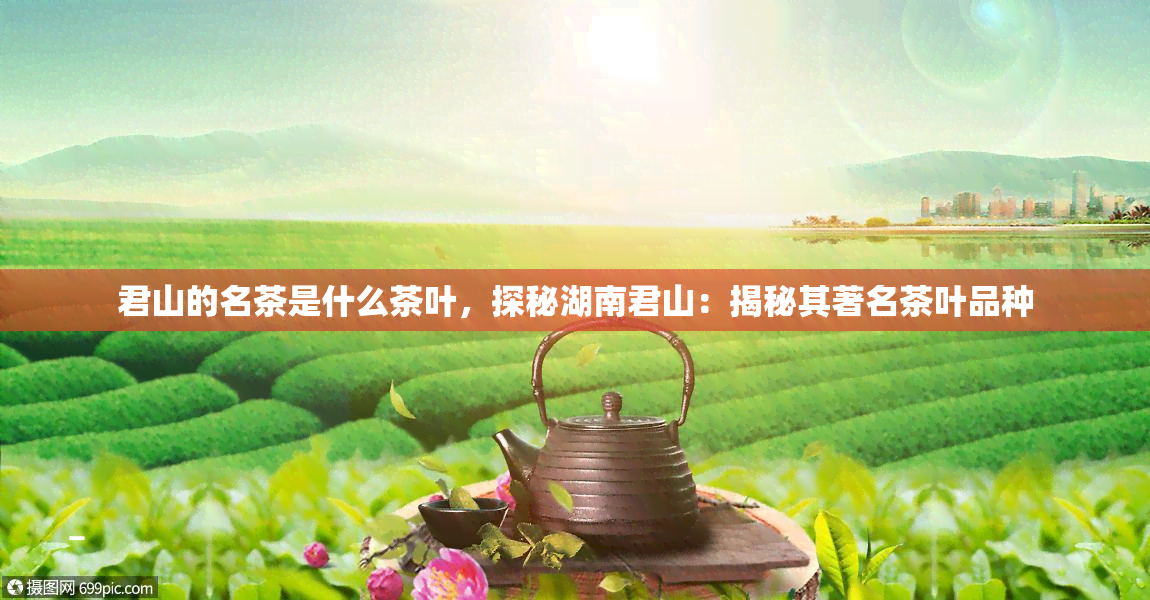 君山的名茶是什么茶叶，探秘湖南君山：揭秘其著名茶叶品种