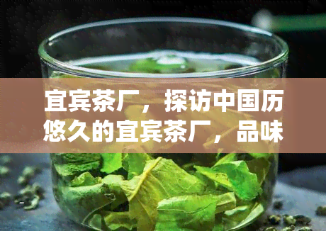 宜宾茶厂，探访中国历悠久的宜宾茶厂，品味传统制茶工艺的魅力