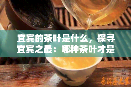 宜宾的茶叶是什么，探寻宜宾之最：哪种茶叶才是的？