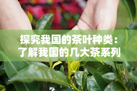 探究我国的茶叶种类：了解我国的几大茶系列及其产品