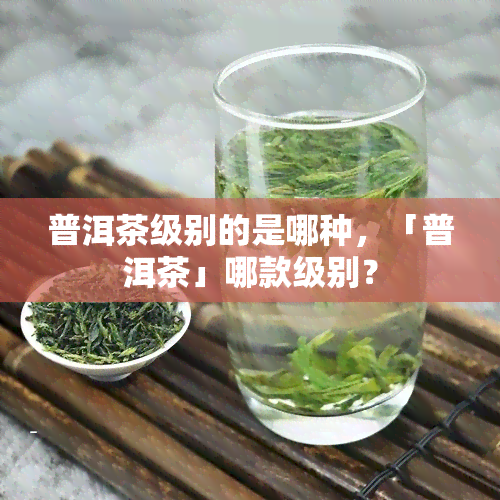 普洱茶级别的是哪种，「普洱茶」哪款级别？