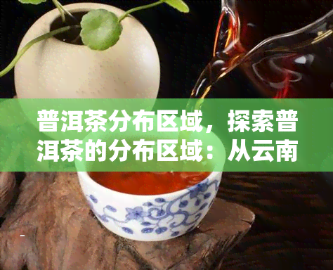 普洱茶分布区域，探索普洱茶的分布区域：从云南到全国的茶香之旅