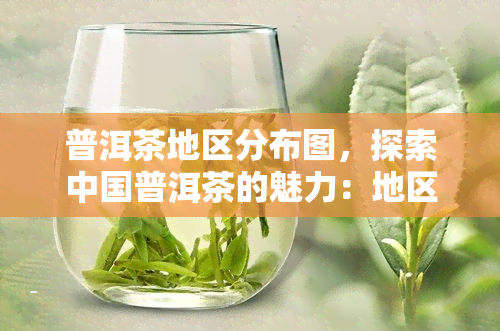 普洱茶地区分布图，探索中国普洱茶的魅力：地区分布全览图