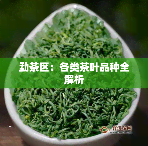 勐茶区：各类茶叶品种全解析