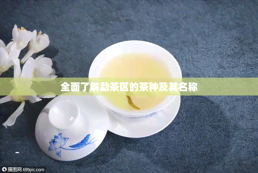 全面了解勐茶区的茶种及其名称