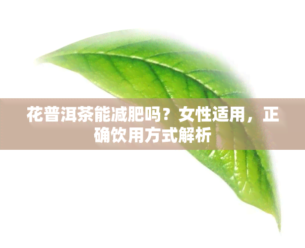 花普洱茶能减肥吗？女性适用，正确饮用方式解析