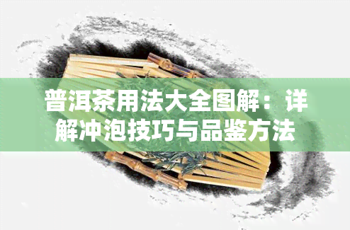 普洱茶用法大全图解：详解冲泡技巧与品鉴方法