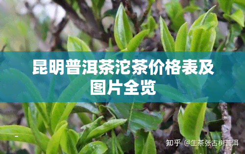 昆明普洱茶沱茶价格表及图片全览