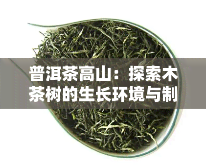 普洱茶高山：探索木茶树的生长环境与制茶工艺