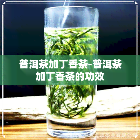 普洱茶加丁香茶-普洱茶加丁香茶的功效