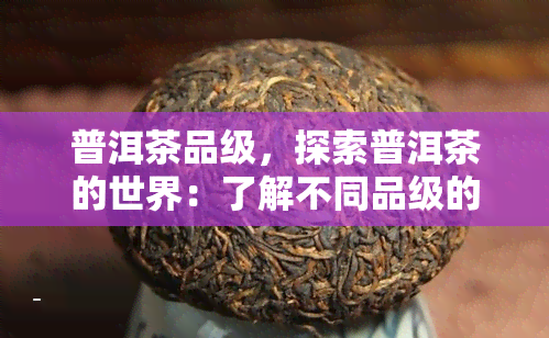 普洱茶品级，探索普洱茶的世界：了解不同品级的口感和特点