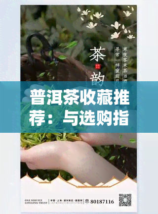 普洱茶收藏推荐：与选购指南